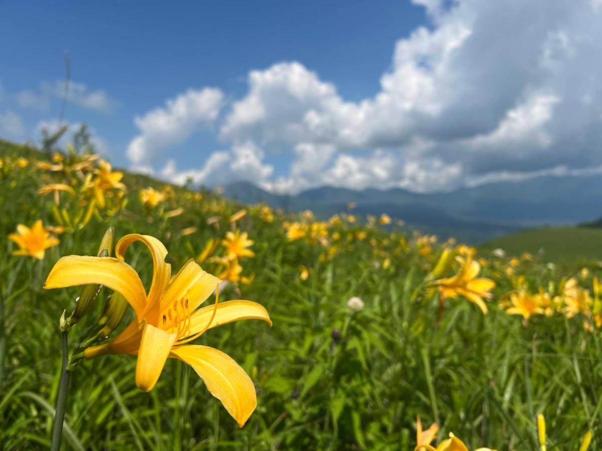 Pension Wildflowers Tateshina  Exterior photo