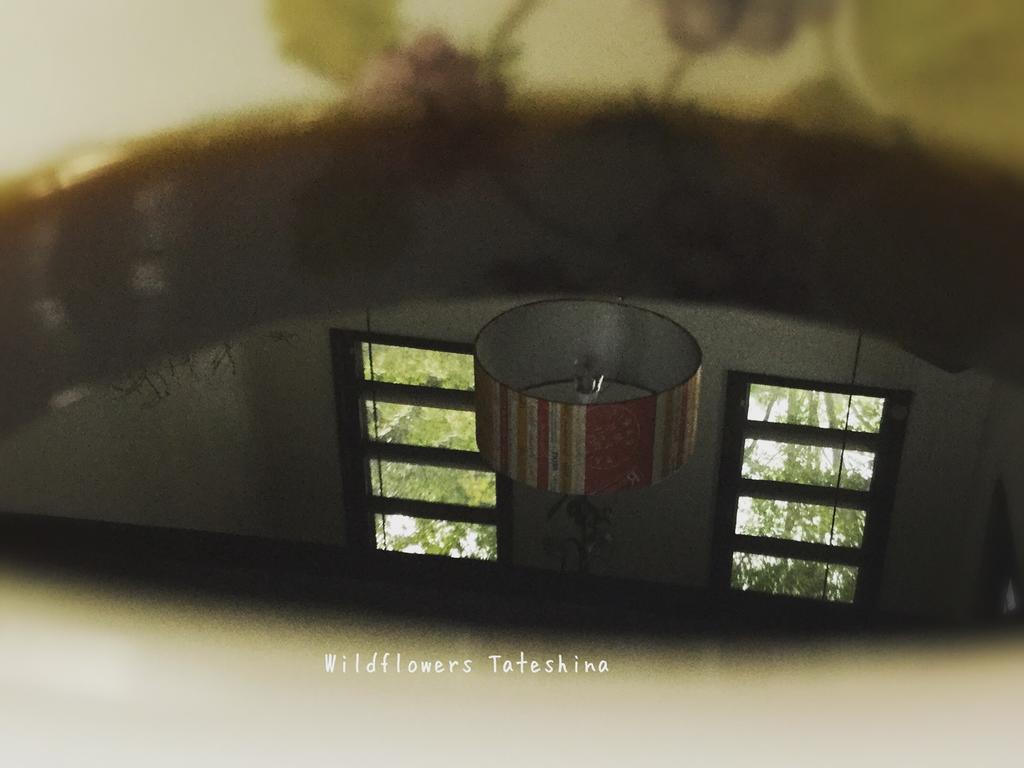 Pension Wildflowers Tateshina  Exterior photo