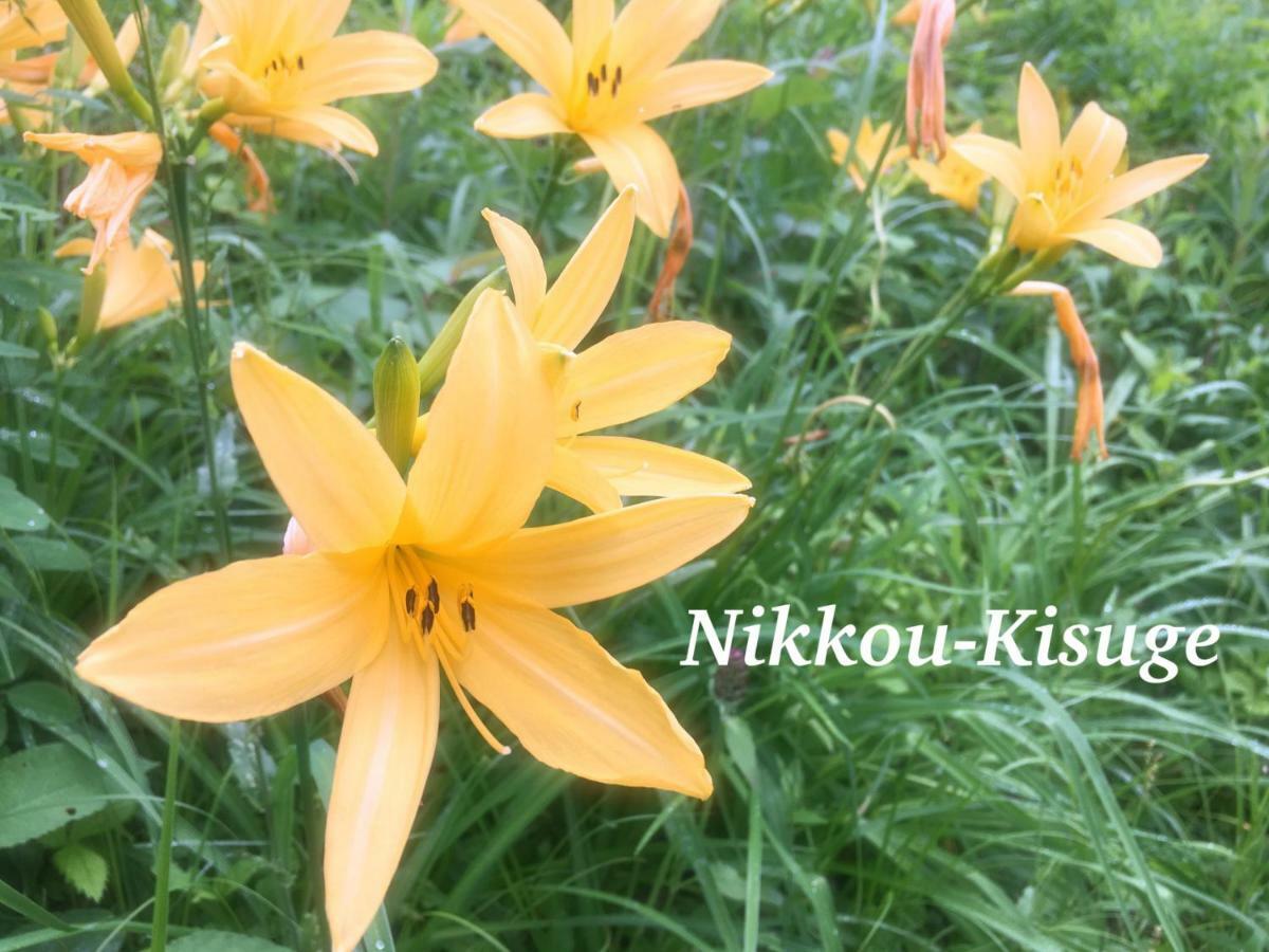 Pension Wildflowers Tateshina  Exterior photo