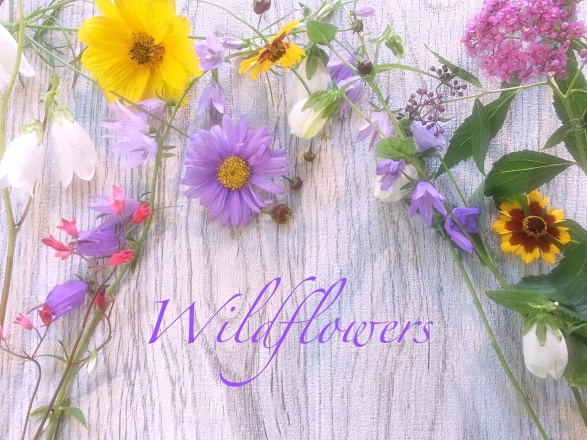 Pension Wildflowers Tateshina  Exterior photo
