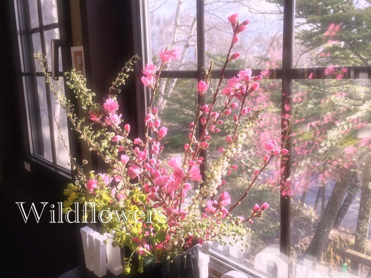 Pension Wildflowers Tateshina  Exterior photo