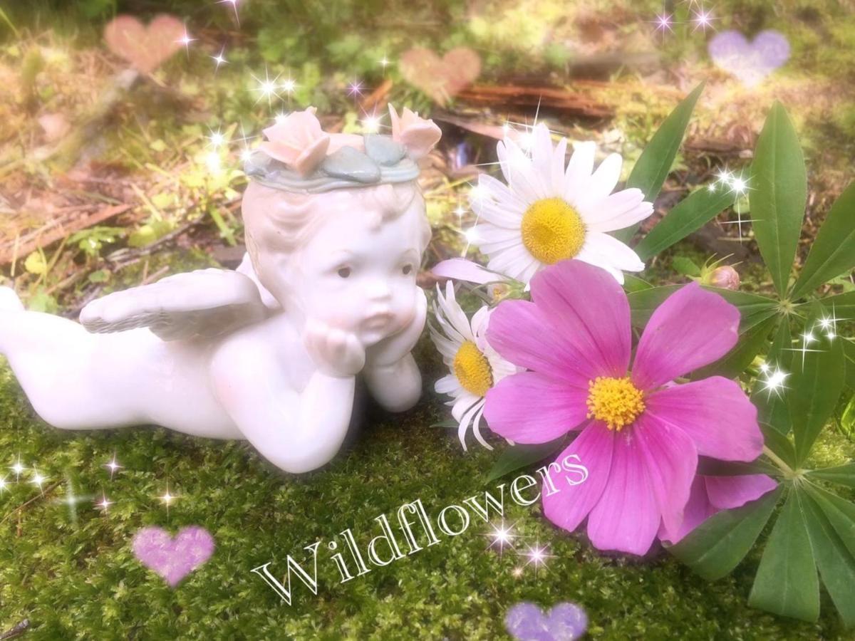 Pension Wildflowers Tateshina  Exterior photo